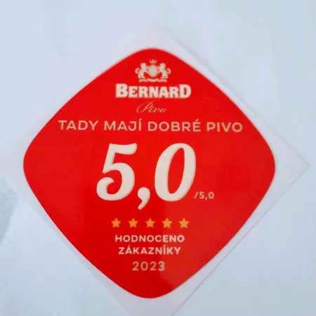 Penzion U Draci Skaly Goltsch Jenikau